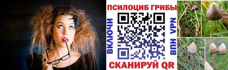 Псилоцибиновые грибы Psilocybine cubensis  Верещагино 